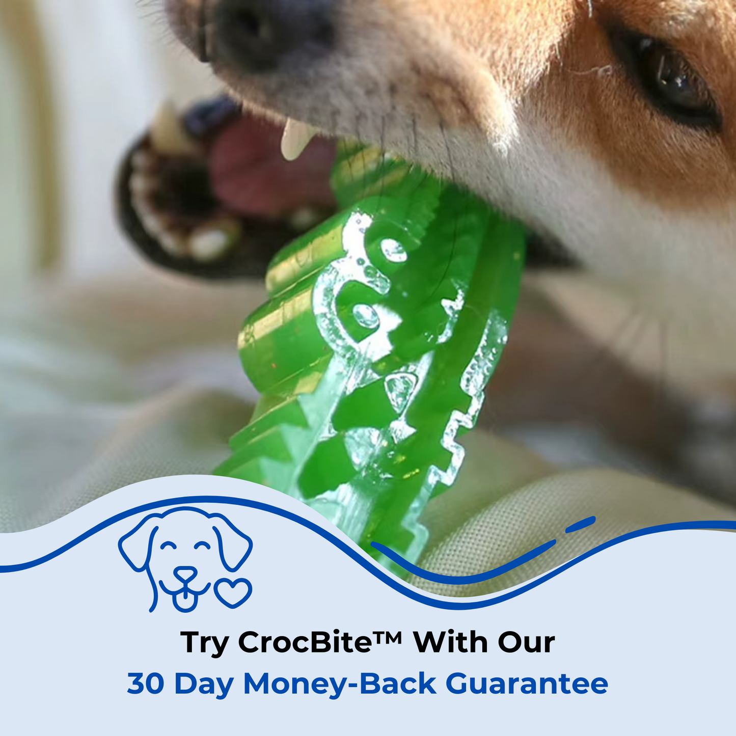 CrocBite™ - Slow Feed Dog Toy