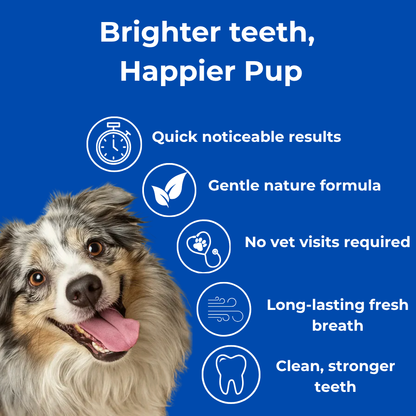 PawMint™ - Pet Oral Spray
