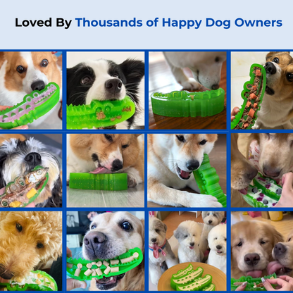 CrocBite™ - Slow Feed Dog Toy