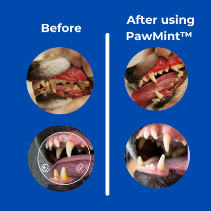 PawMint™ - Pet Oral Spray