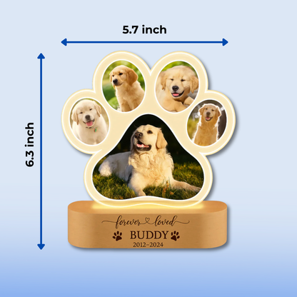 ForeverPaws™ - Personalized Pet Memorial Light
